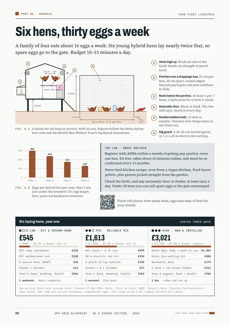 Sample page: six hens with a coop cutaway, UK law and three budgets